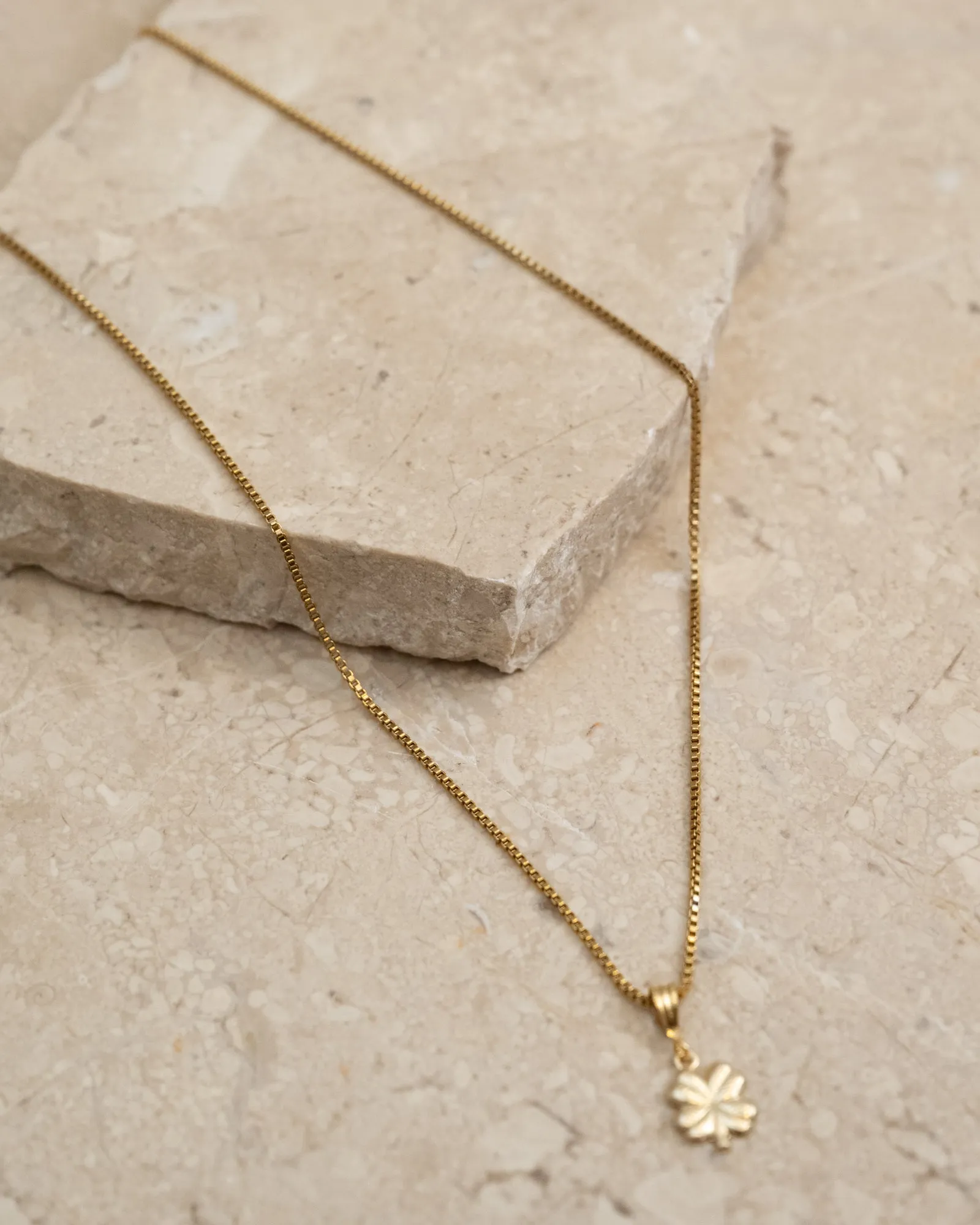 Goldfilled Necklace Charm Lucky