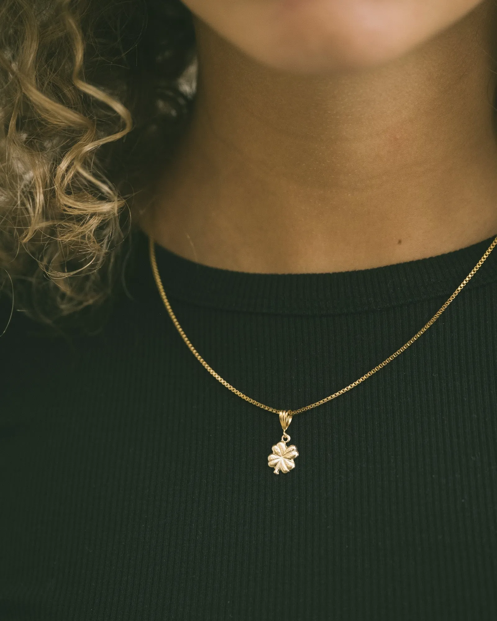 Goldfilled Necklace Charm Lucky