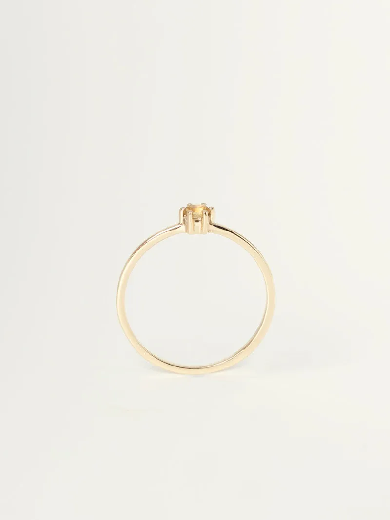 Mini Rita Ring | 14k Gold