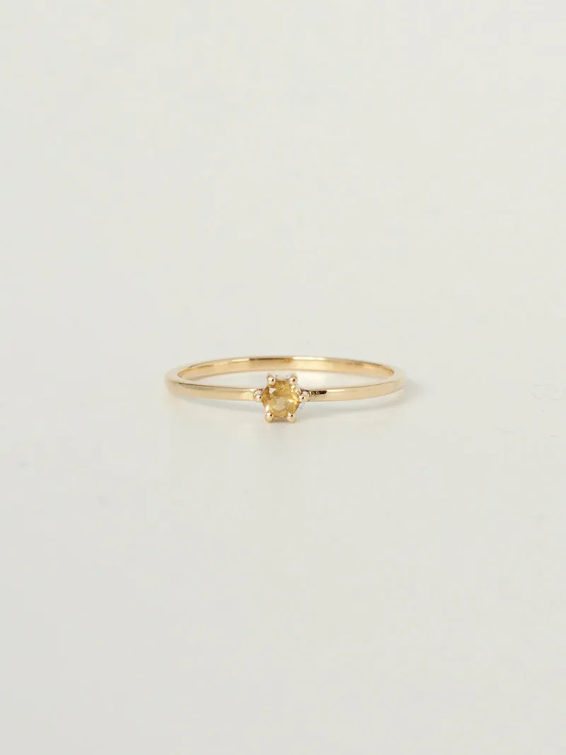 Mini Rita Ring | 14k Gold