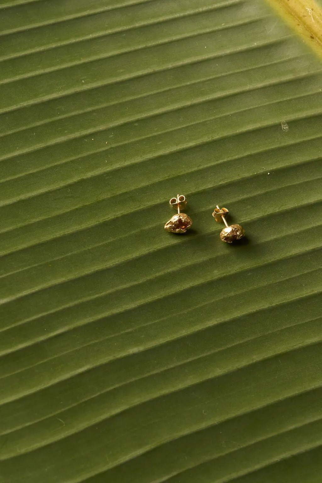 STONED STUD EARRINGS